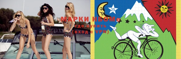 индика Новокубанск