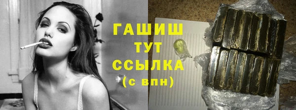 индика Новозыбков