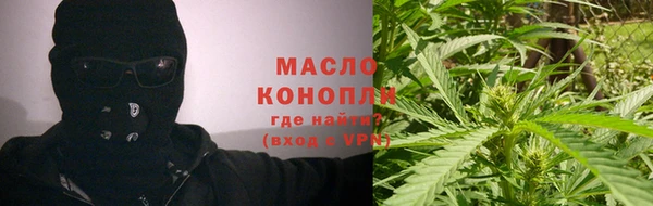 индика Новокубанск