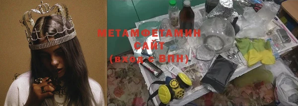 индика Новозыбков