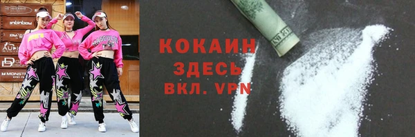 индика Новозыбков
