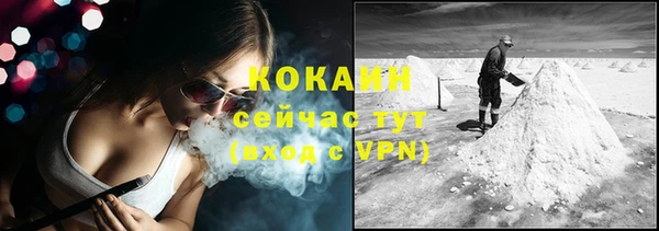 альфа пвп Новодвинск