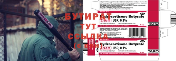 индика Новозыбков