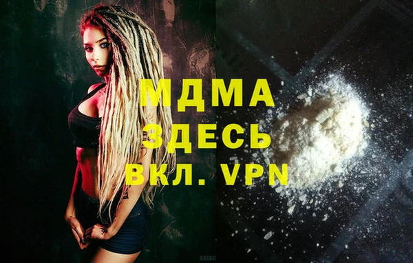 индика Новозыбков