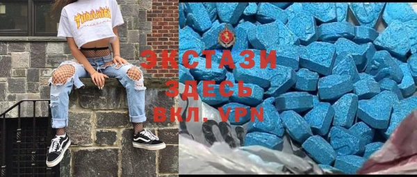 индика Новокубанск
