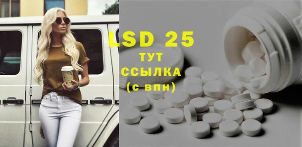 индика Новокубанск