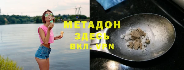 индика Новозыбков