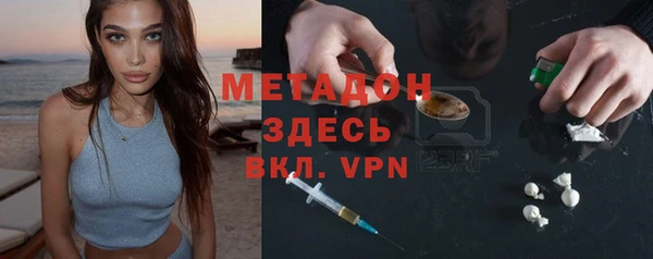 индика Новозыбков