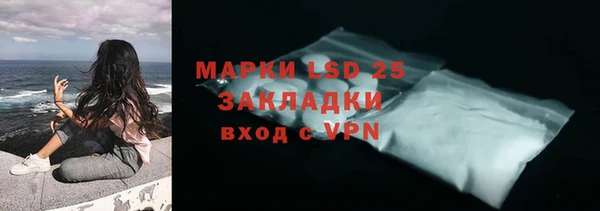 индика Новозыбков