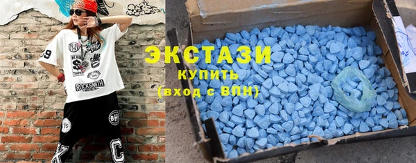 индика Новозыбков