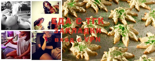 индика Новокубанск