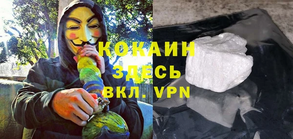 индика Новокубанск