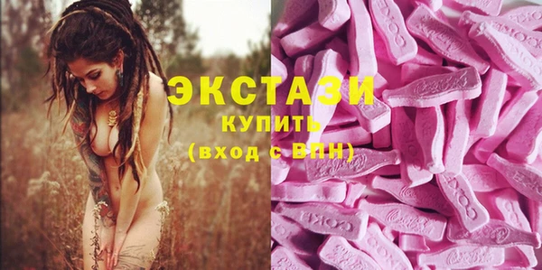 индика Новозыбков