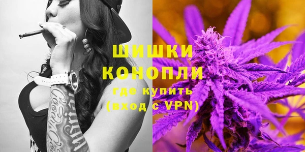 индика Новозыбков