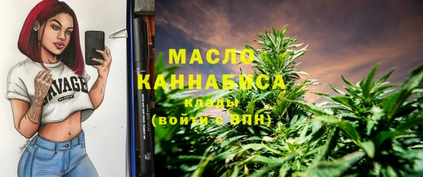 индика Новозыбков