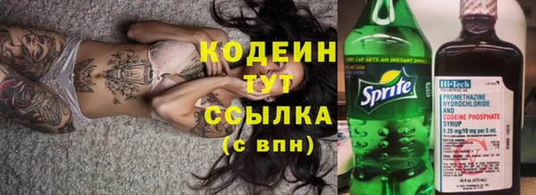 индика Новокубанск