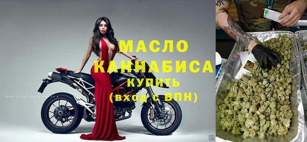 индика Новозыбков