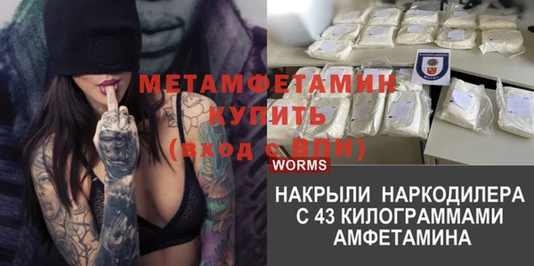 индика Новокубанск