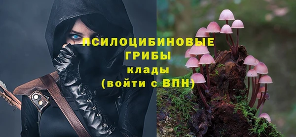 индика Новокубанск
