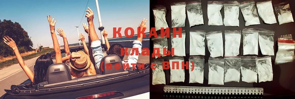 индика Новозыбков