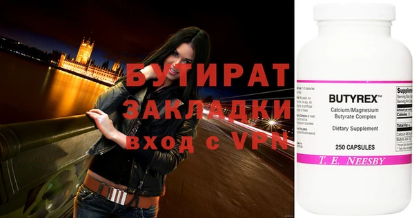 индика Новозыбков