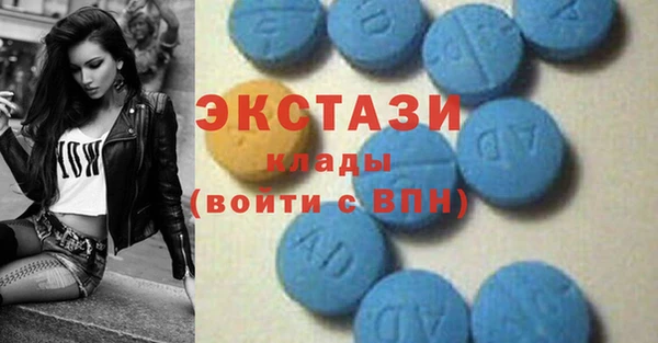 индика Новокубанск