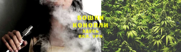 альфа пвп Новодвинск